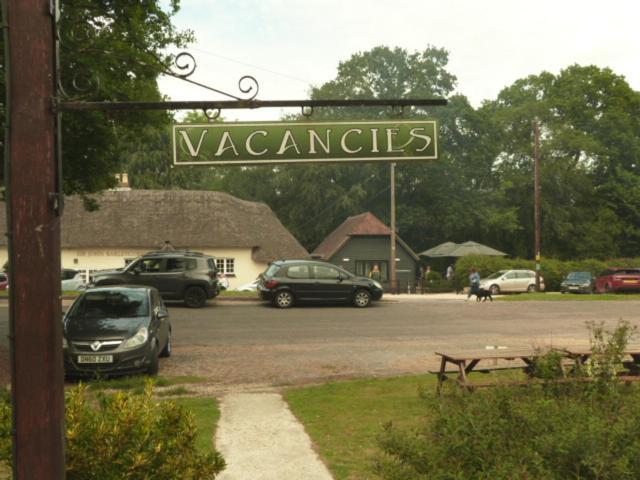 Twin Oaks Guest House Cadnam Екстериор снимка